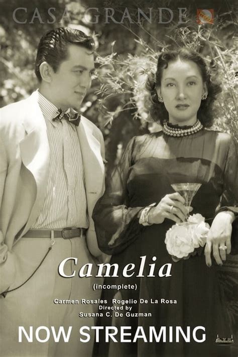 camelia montassere|Camélia Montassere — The Movie Database (TMDB).